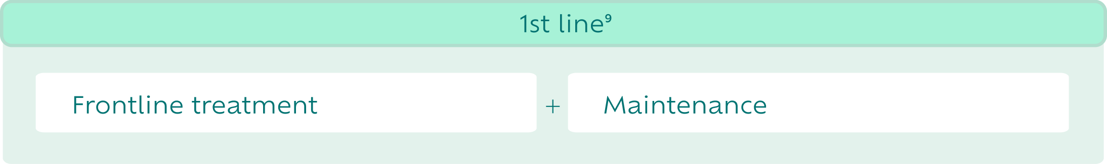 1st Line